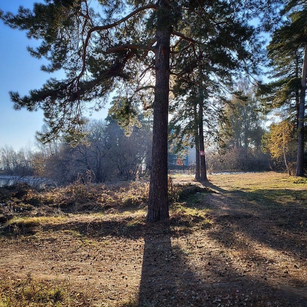 Photograph by Ирина Попелкова