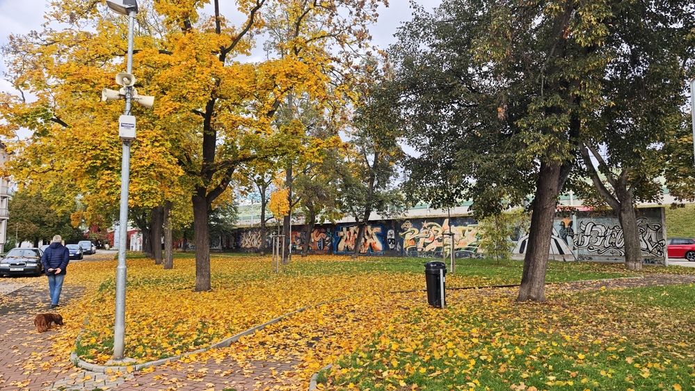 Photograph by Олег Марков