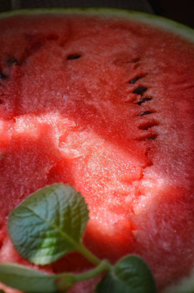 Фотография автора Оксана Шенина