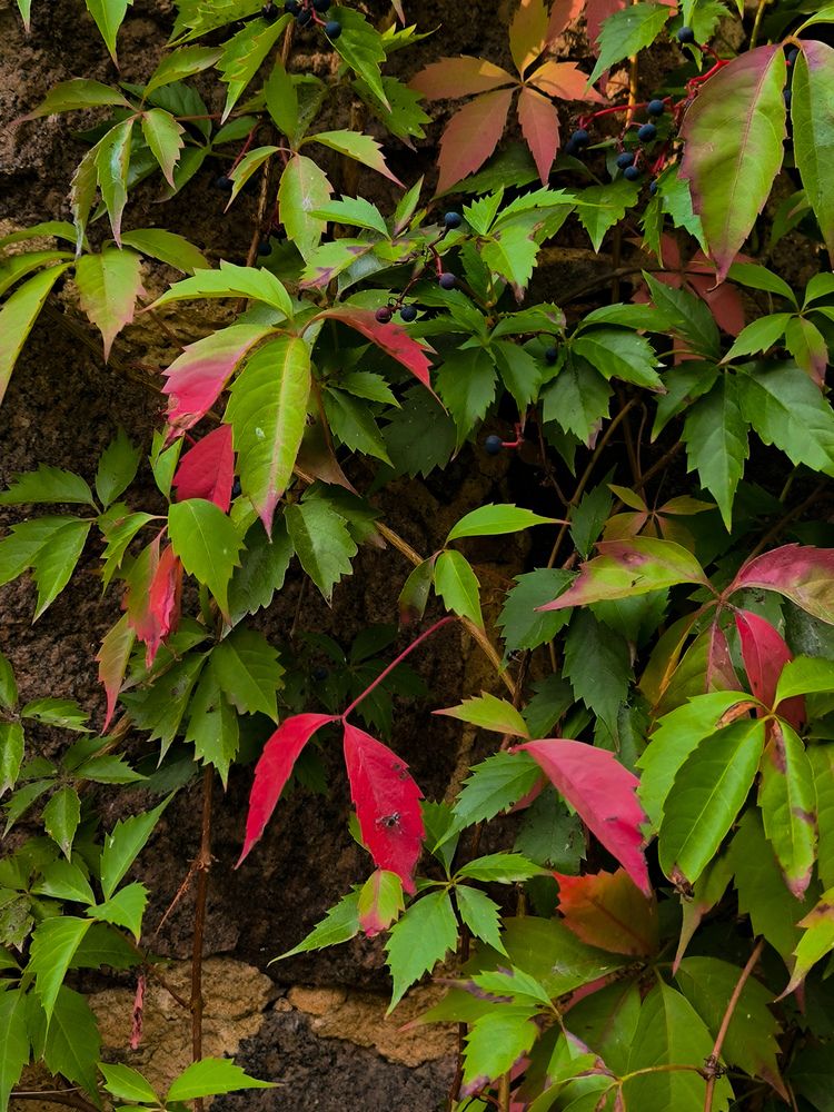 Photograph by Татьяна Яцкевич