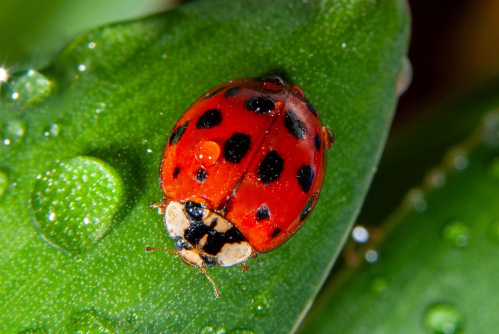 Photograph by Римма Волченко