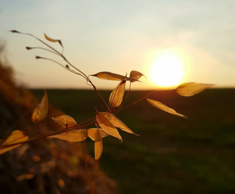 Photograph by Natasha