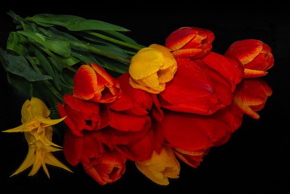 Photograph by Римма Волченко