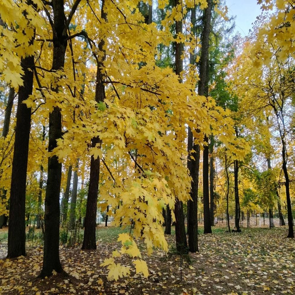 Photograph by Елена Сухорученкова