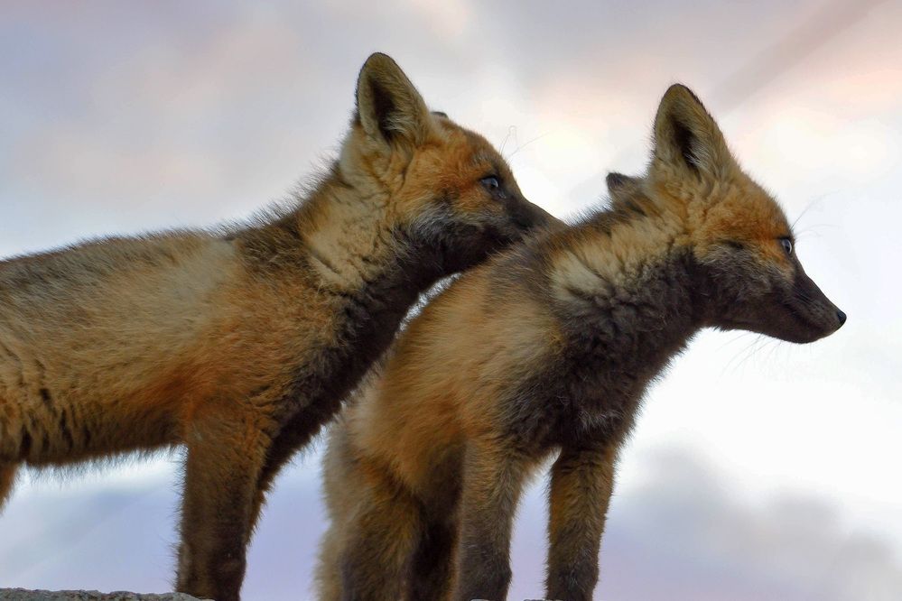 Photograph by Алексей Ильин