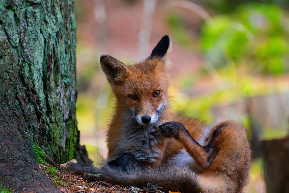 Photograph by Марина Шоркина