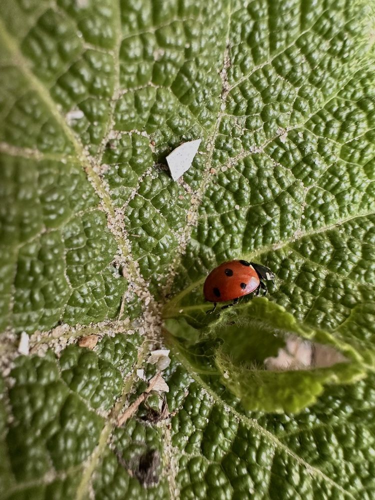 Photograph by Екатерина Балакина