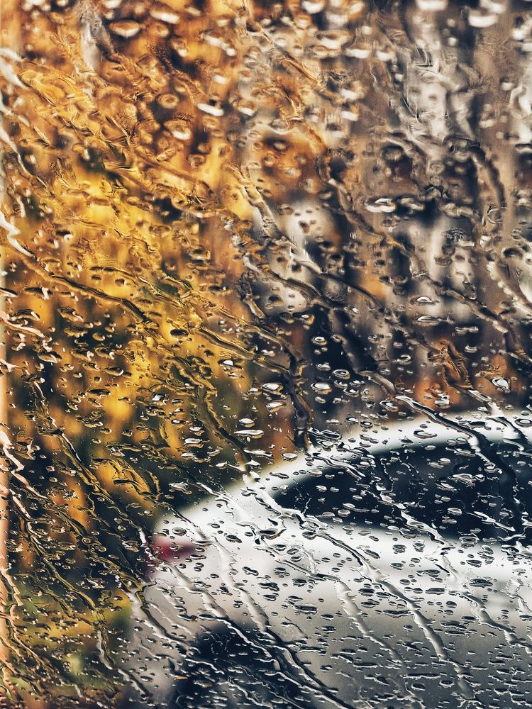 Photograph by Тимохина Анастасия