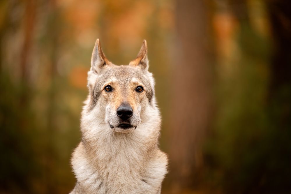 Photograph by Мария Калинина