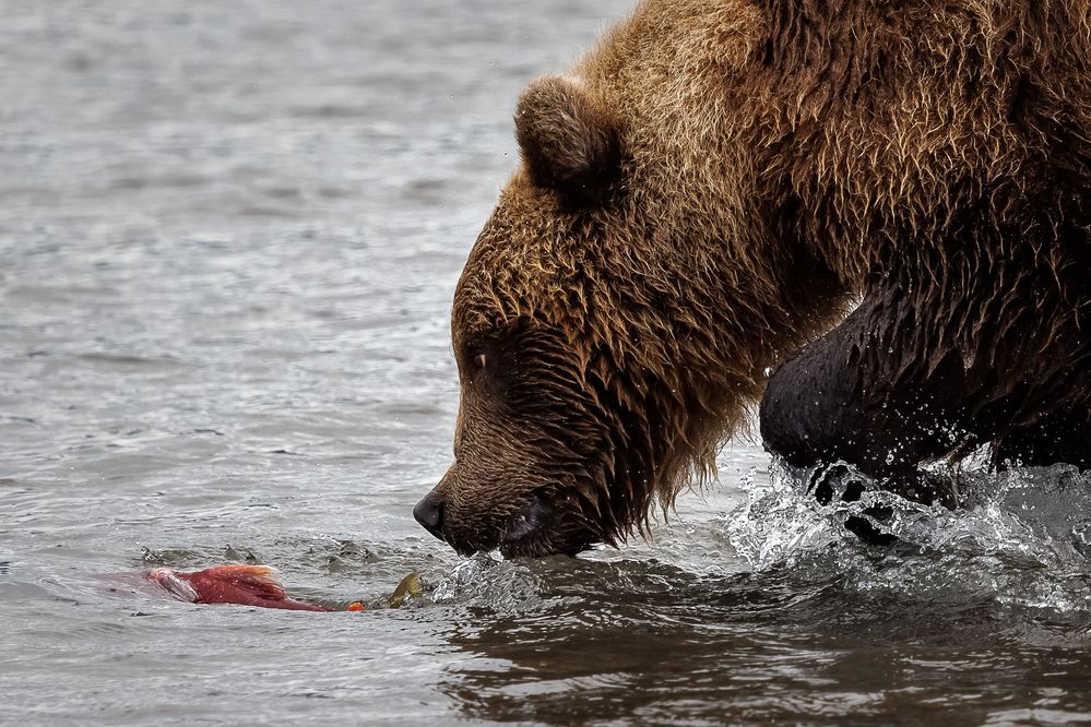 Photograph by Анна Татаренко