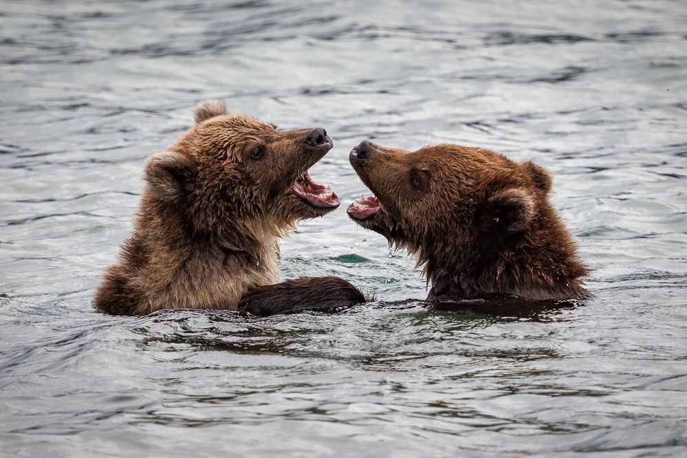 Photograph by Анна Татаренко