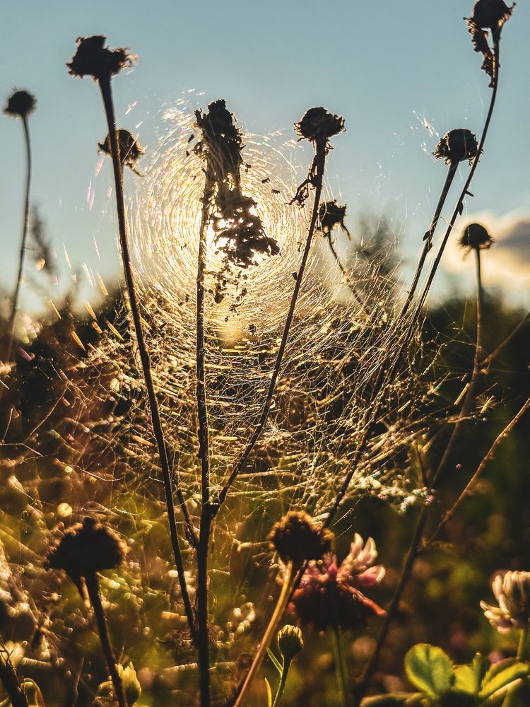 Photograph by Анна Токуда