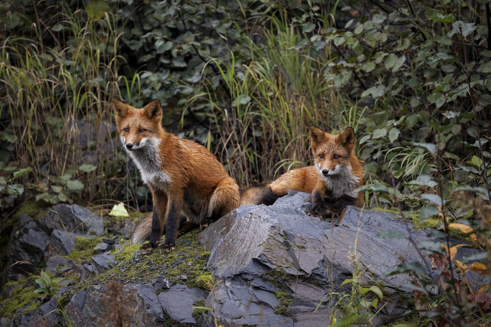 Photograph by Анна Татаренко