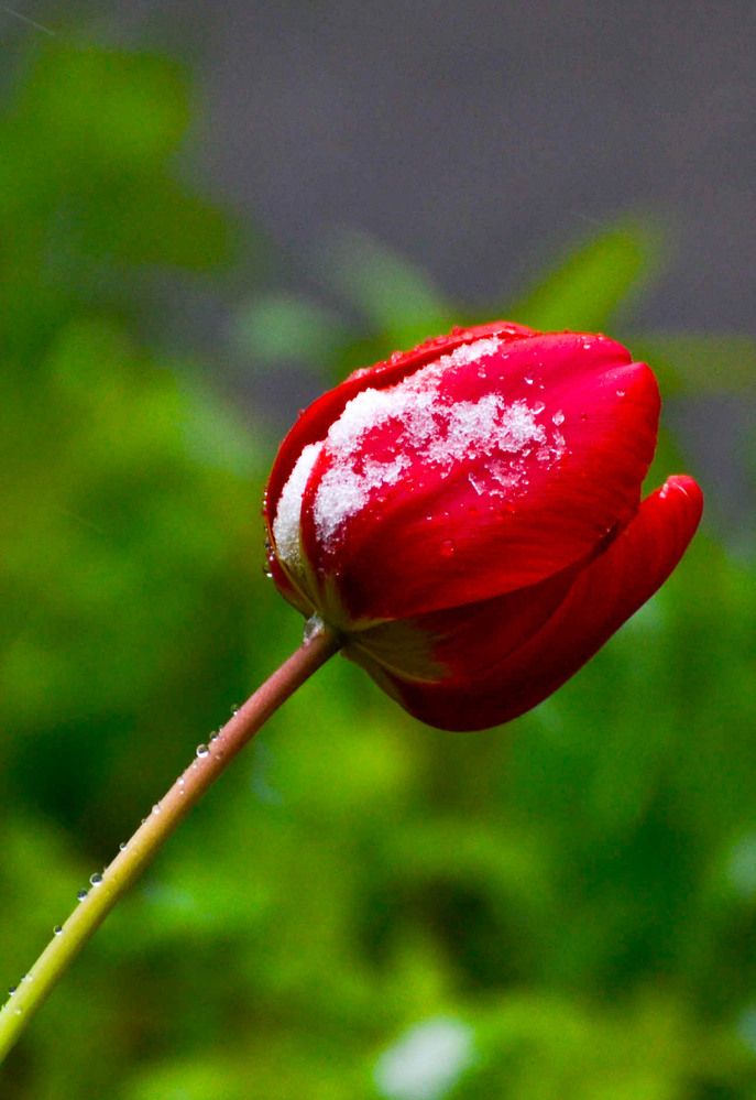 Photograph by Максим Шевченко