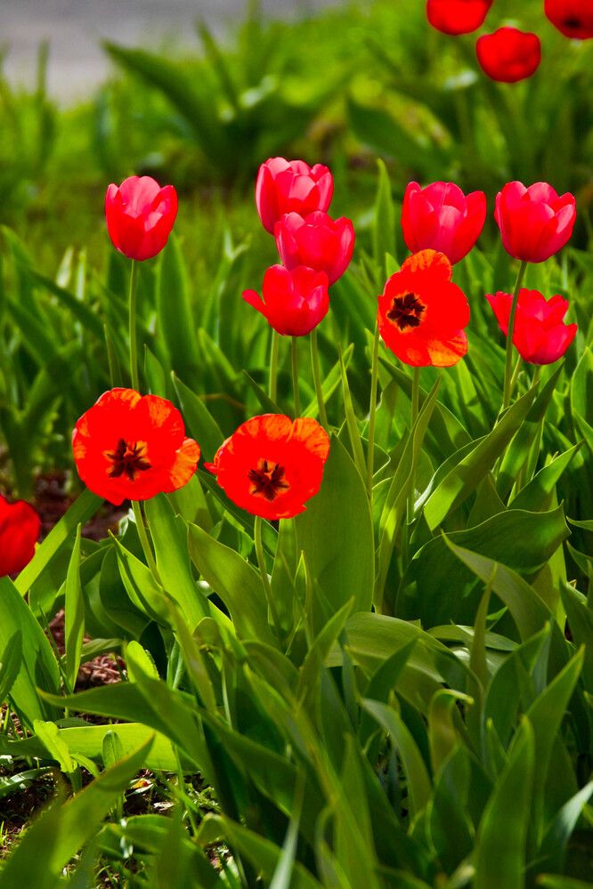 Photograph by Максим Шевченко