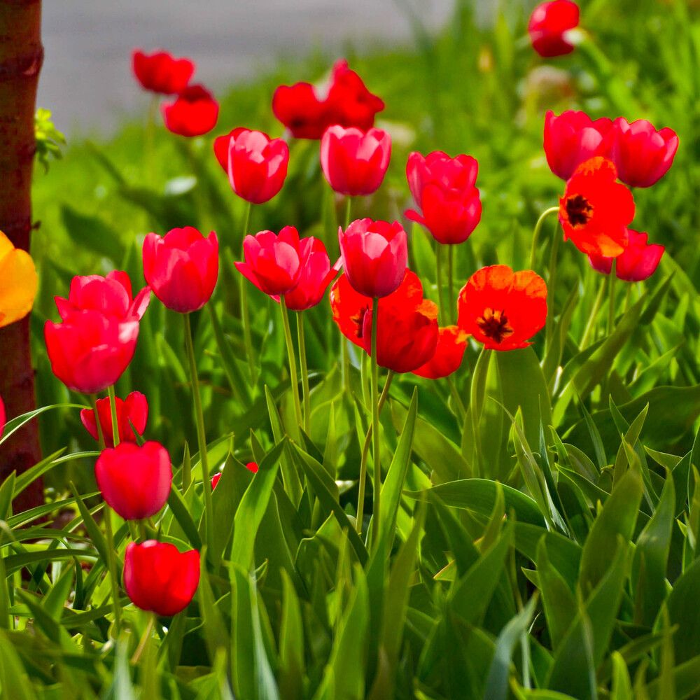 Photograph by Максим Шевченко