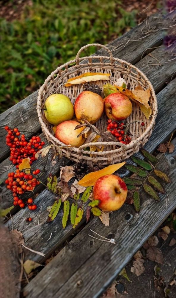 Photograph by Елена Бородулина