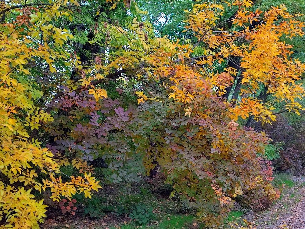 Фотография автора Татьяна Петренко