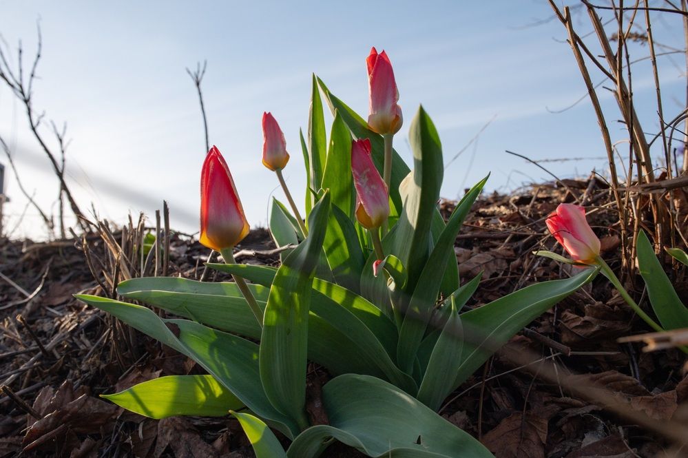 Photograph by Машевский Владимир