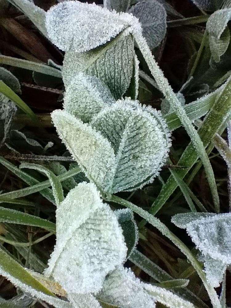 Photograph by Юлия Локалова