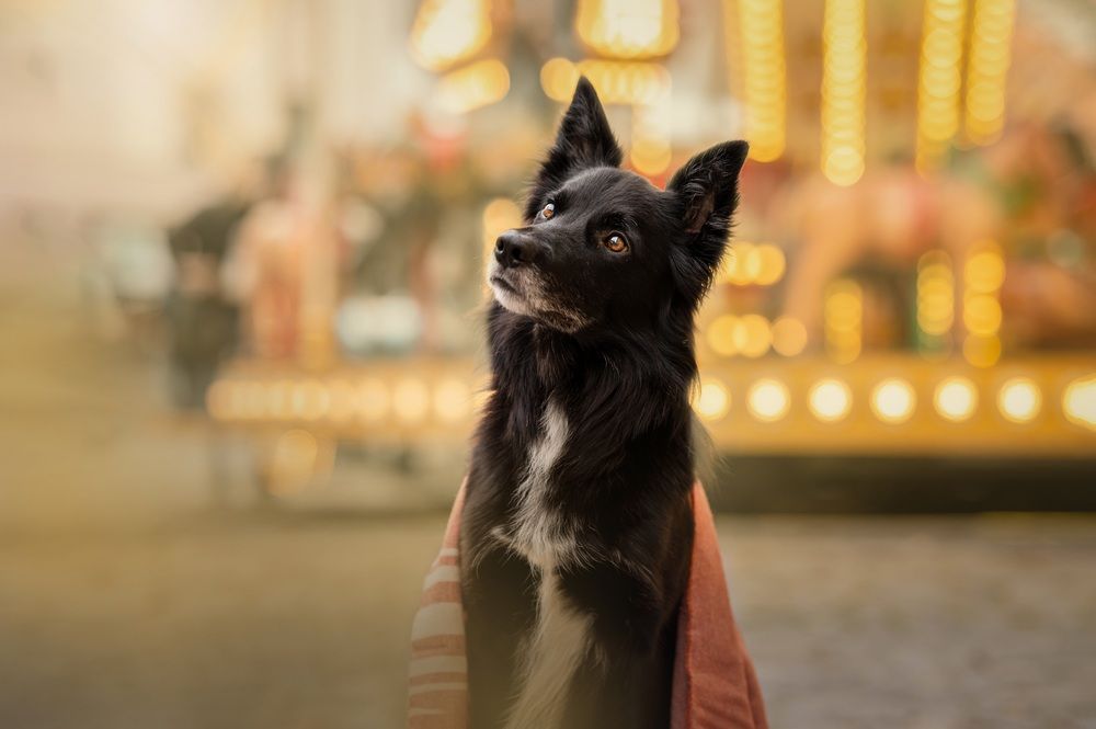 Photograph by Adéla Kovaříková