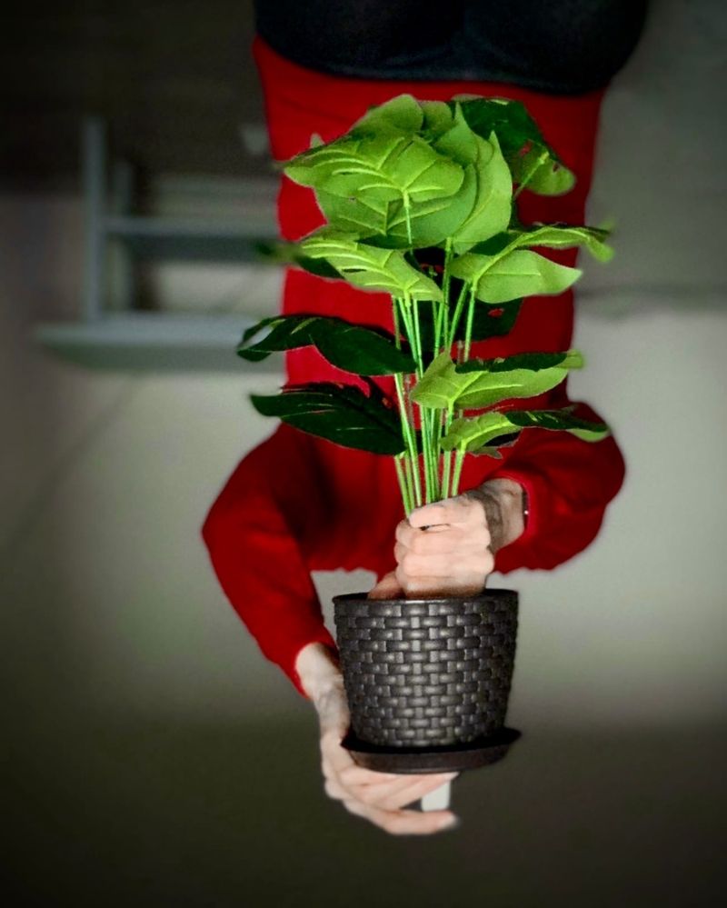 Фотография автора Надежда Смирнова