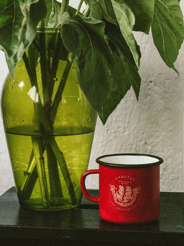 Photograph by Julia Smilovitsky