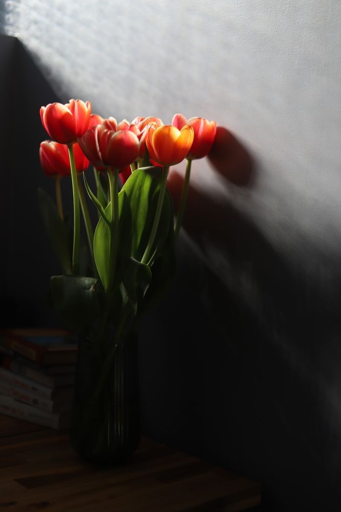 Photograph by Julia Smilovitsky