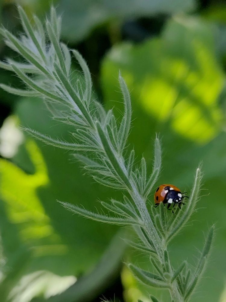 Photograph by Ульяна Кузьмина