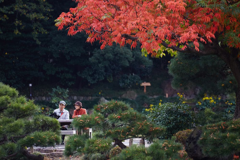 Photograph by Prometej