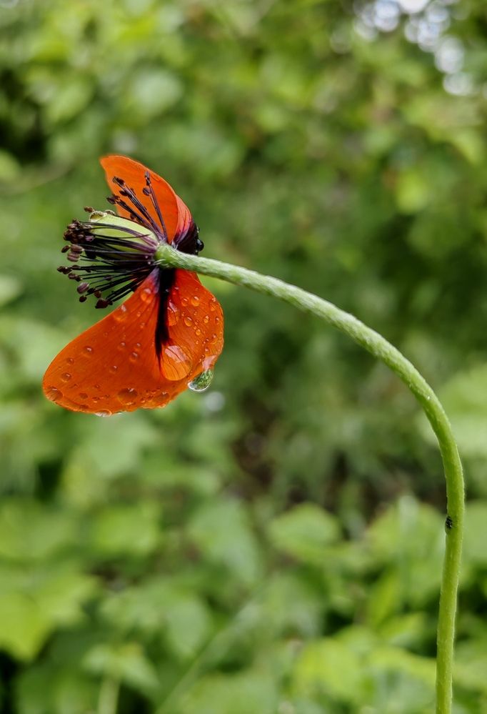 Photograph by Ульяна Кузьмина