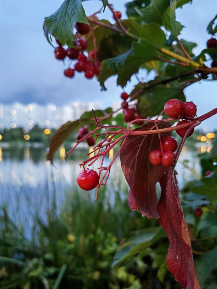 Photograph by Ульяна Кузьмина