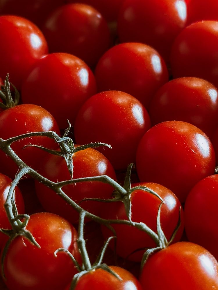 Фотография автора София