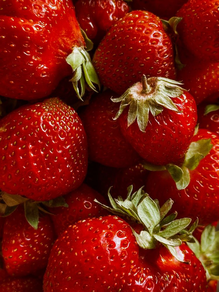 Фотография автора София