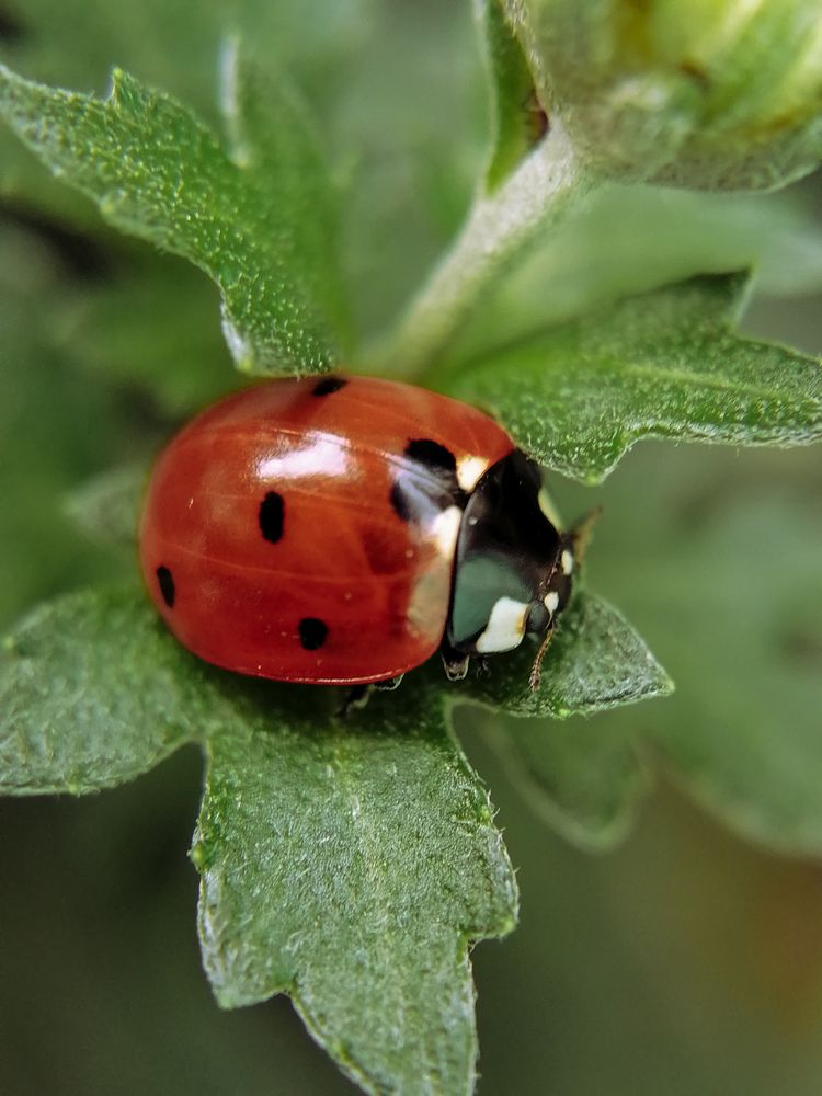 Photograph by Наталия Соболева