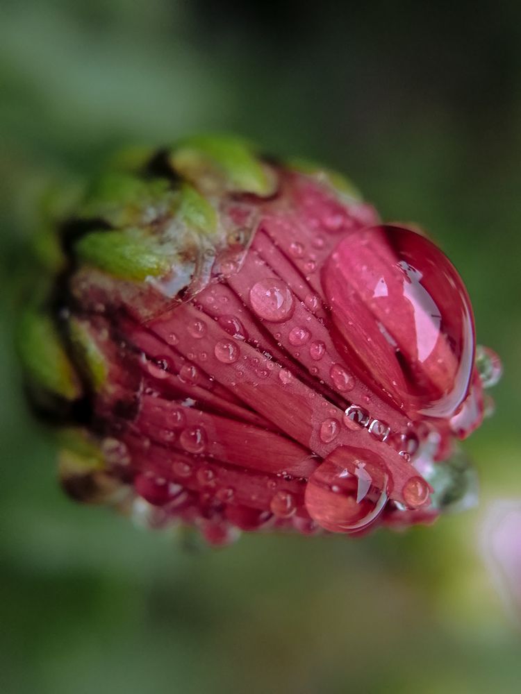 Photograph by Наталия Соболева