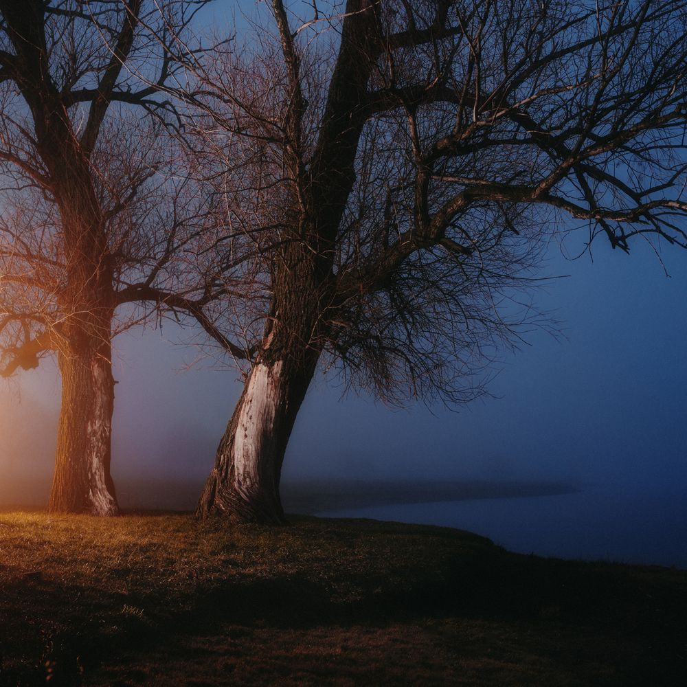 Фотография автора Сухенко Олег