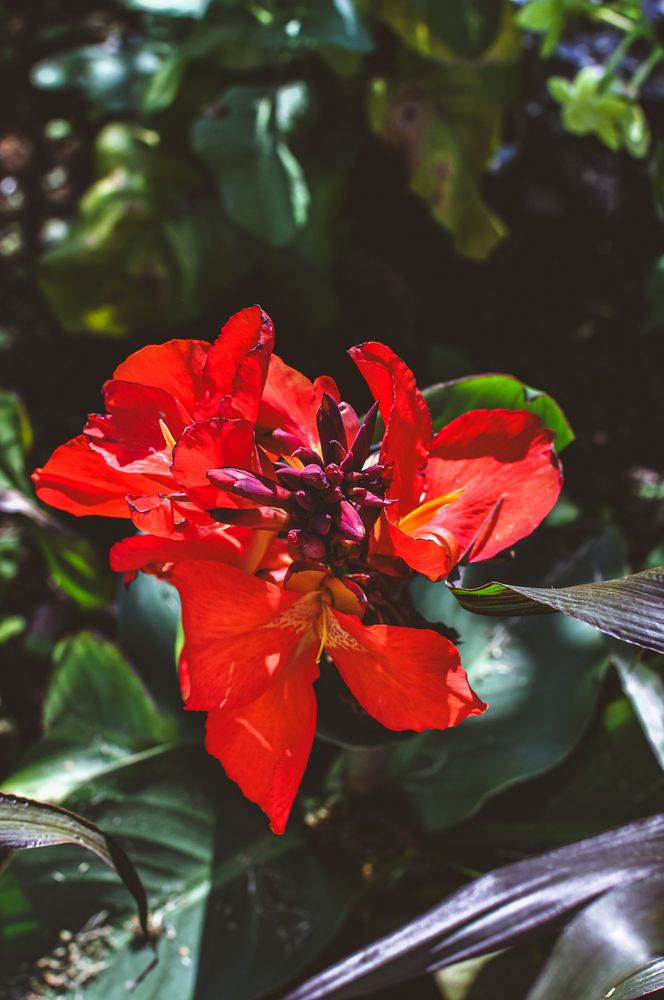 Фотография автора Елизавета Синицына