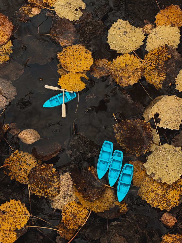 Photograph by Елена Михалева