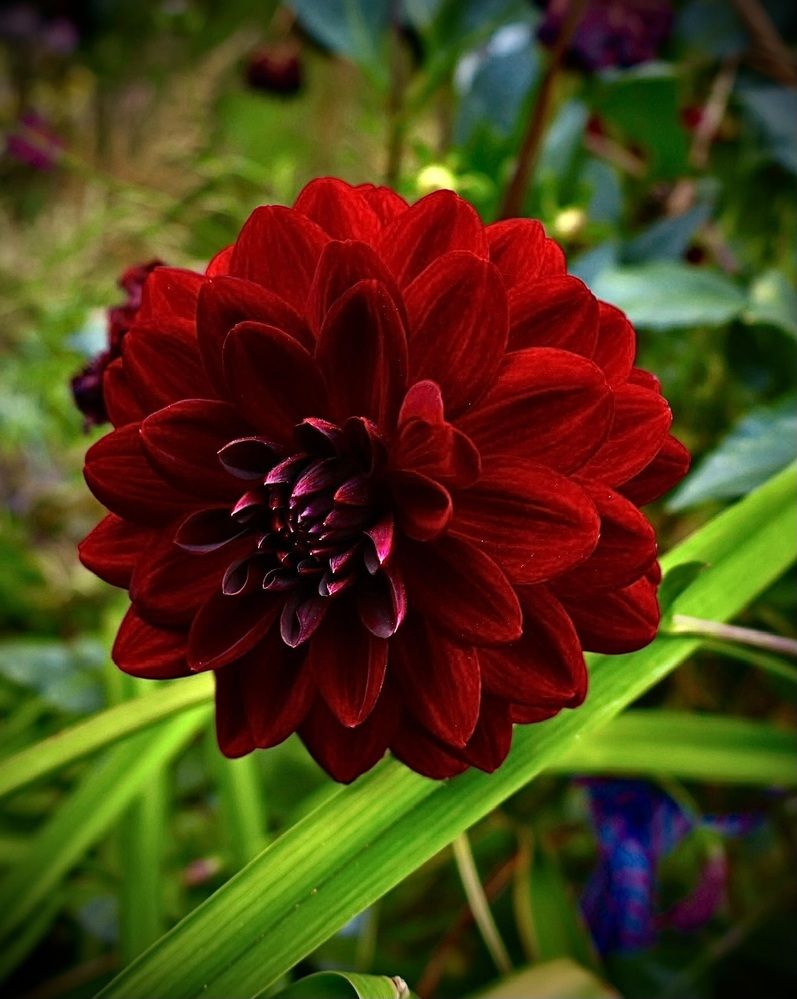 Photograph by Валерий Мыльников