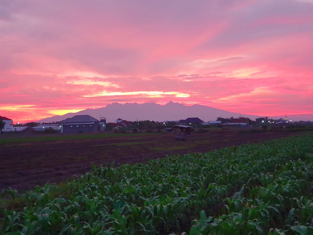 When Fire Meets Earth