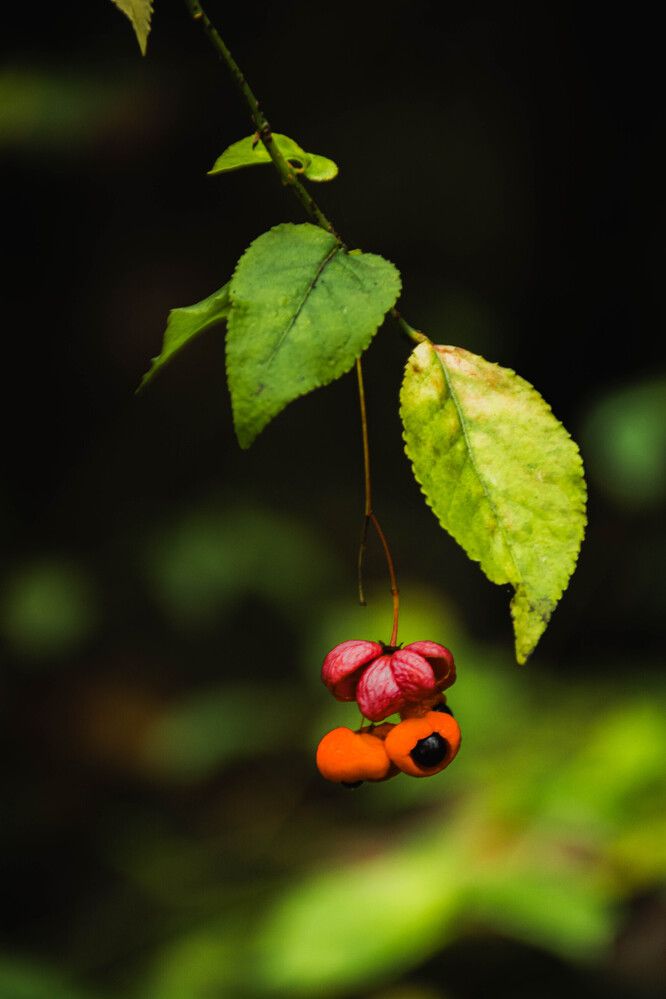 Photograph by Людмила Баймухаметова
