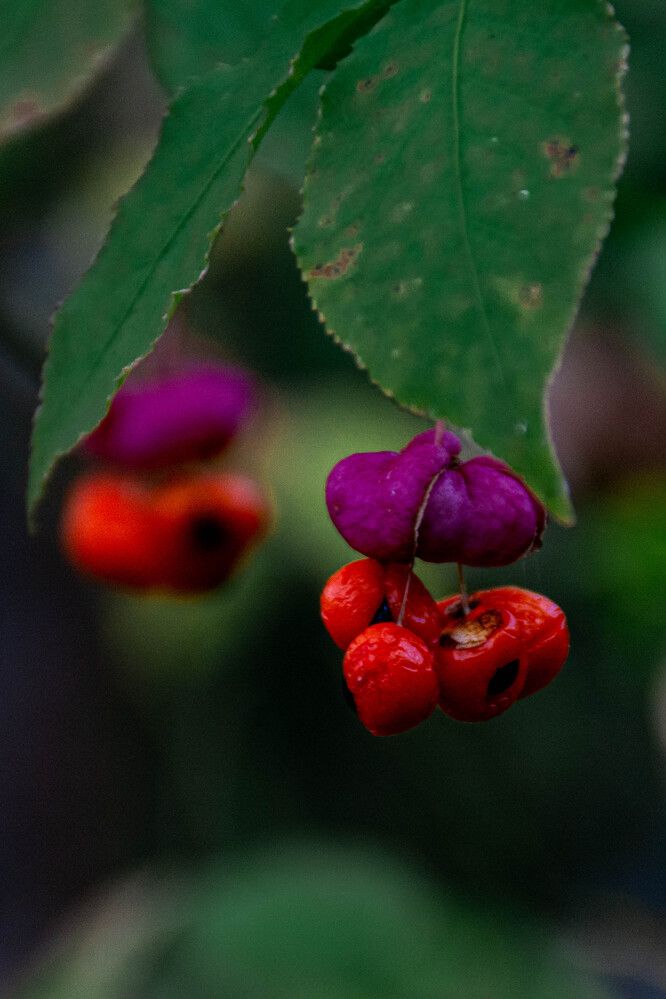 Photograph by Людмила Баймухаметова