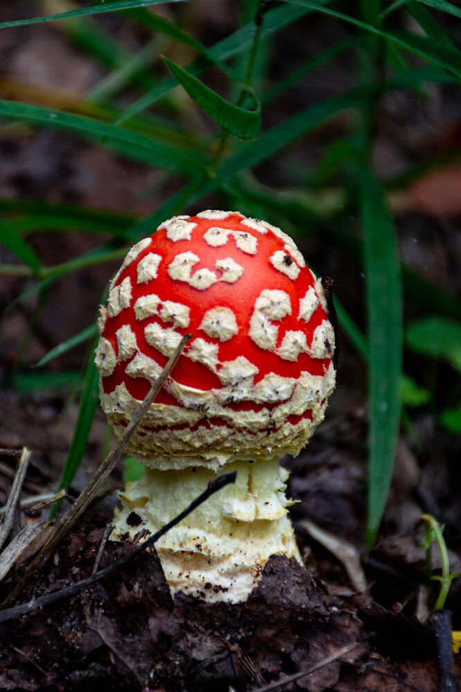 Photograph by Людмила Баймухаметова