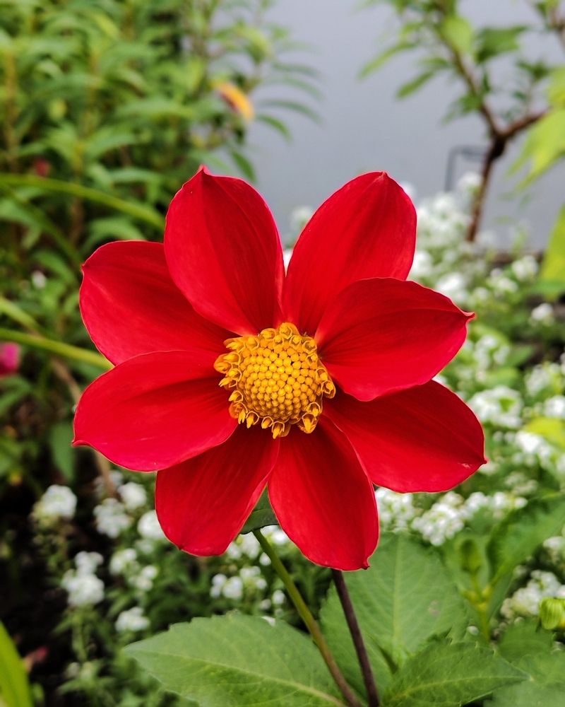 Photograph by Альбина Майкова