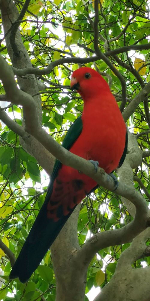 Photograph by Luba Kurchina