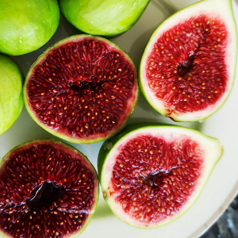 Photograph by Luba Kurchina