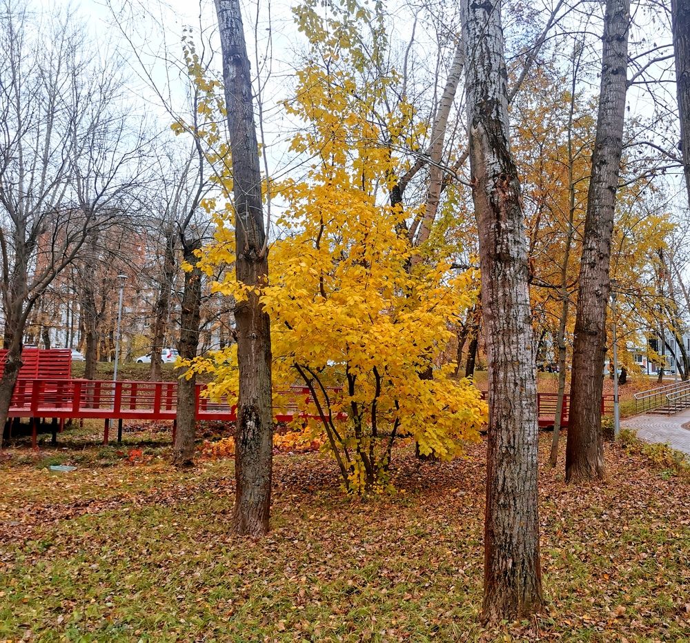 Фотография автора Ольга Давыдова