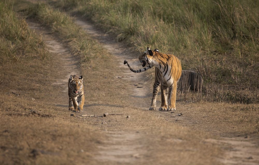 A Mother’s Silent Promise