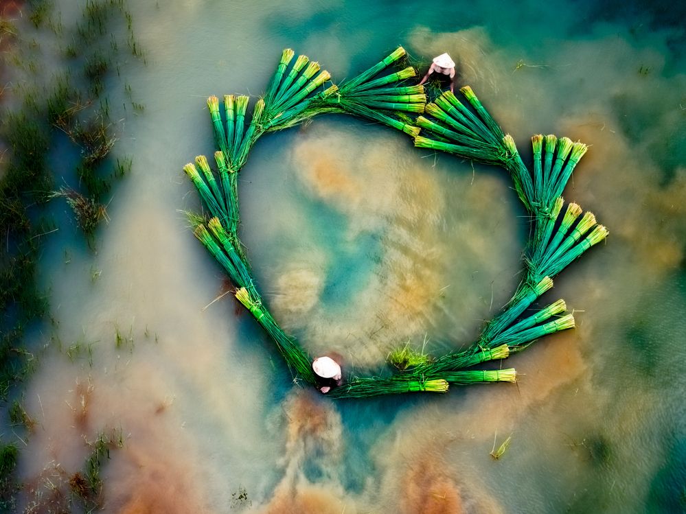 Photograph by Lê Huy Anh